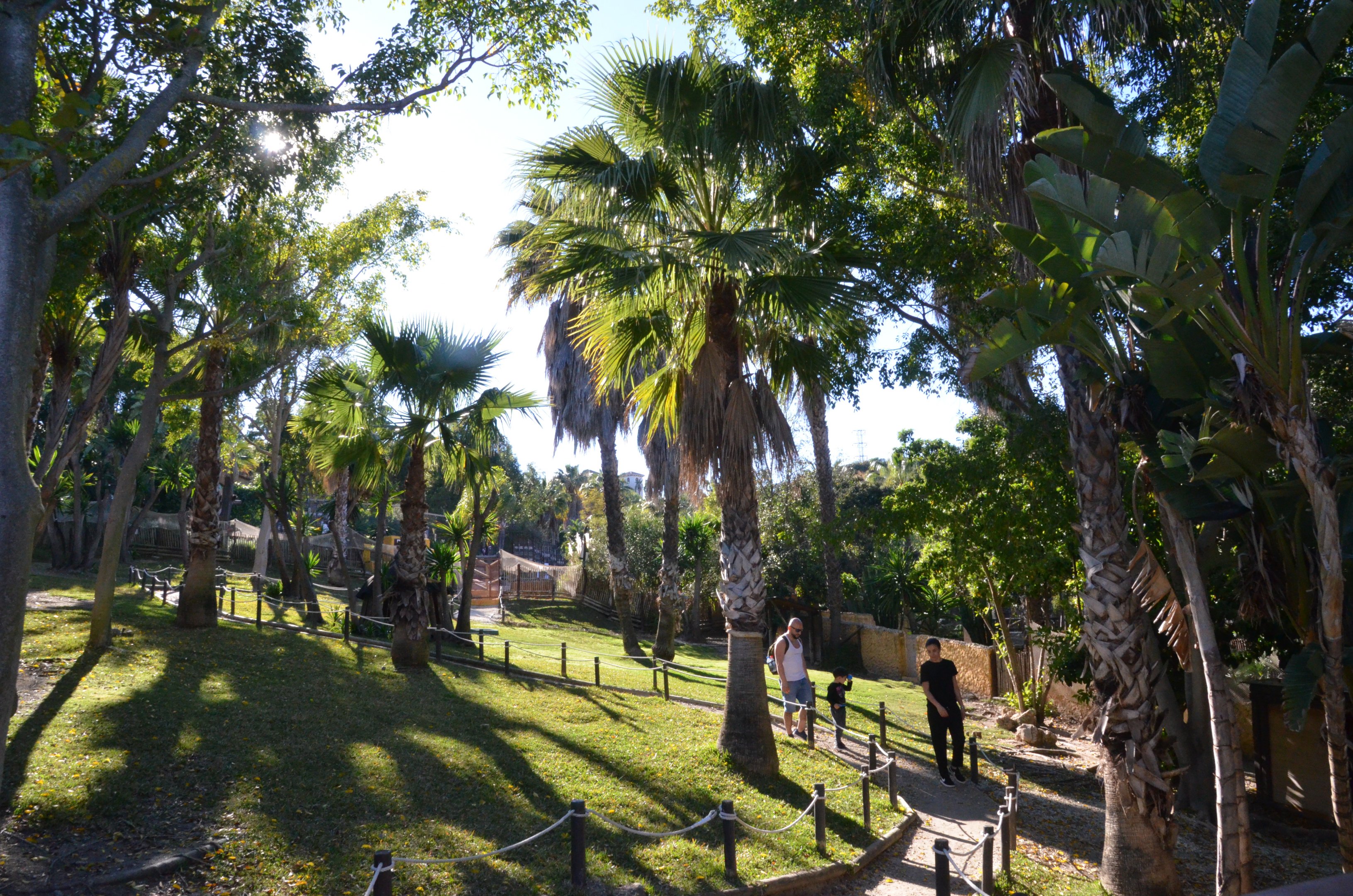Red-necked Wallaby Walkthrough at Selwo Aventura, 13/03/19