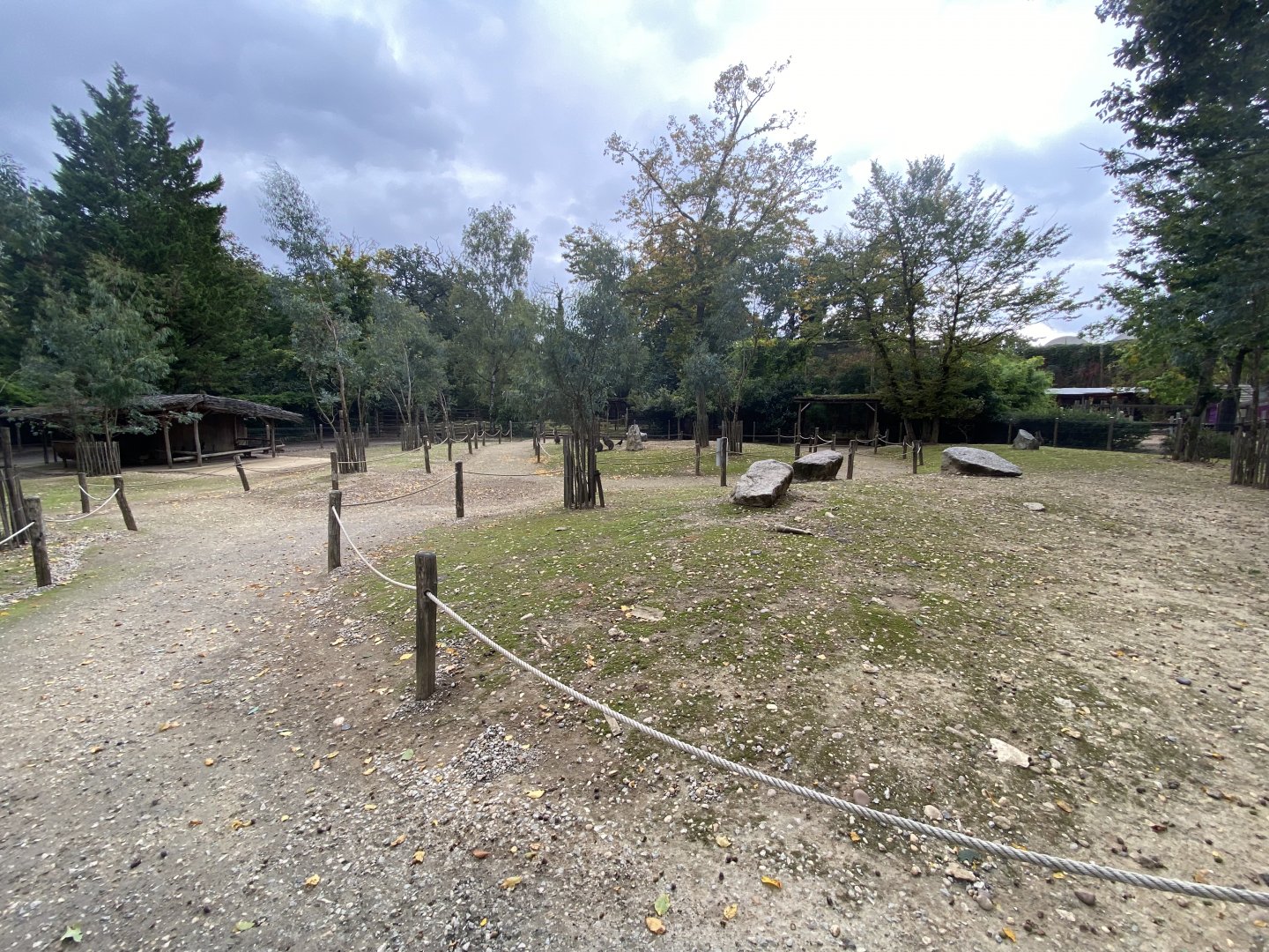 Red-necked wallaby Walkthrough