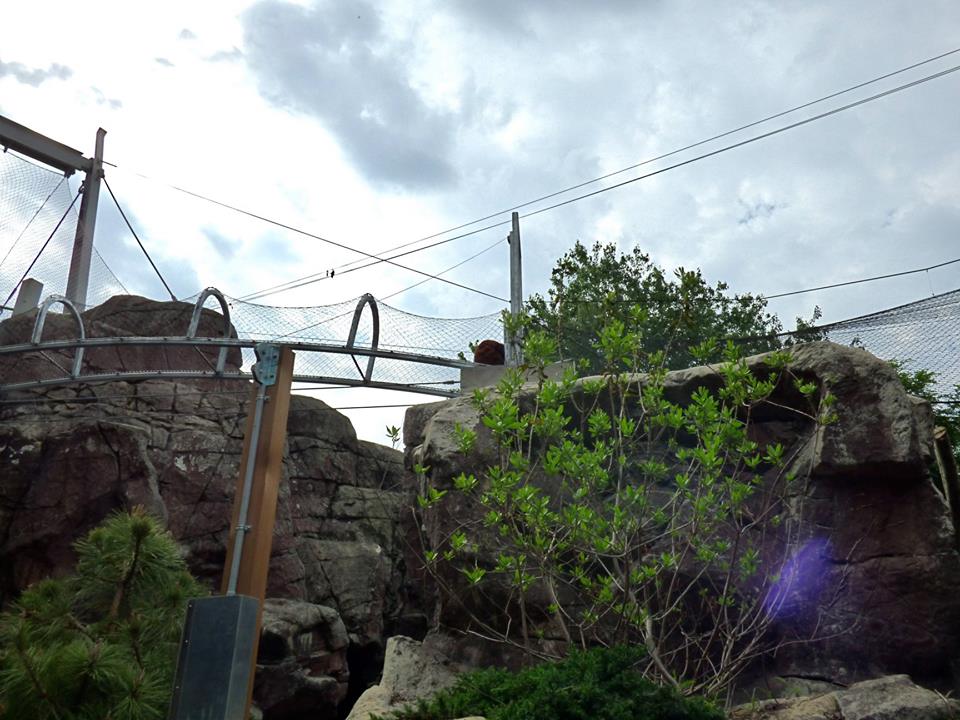 Red Panda 360 Trail (Water is Life) - may 2018