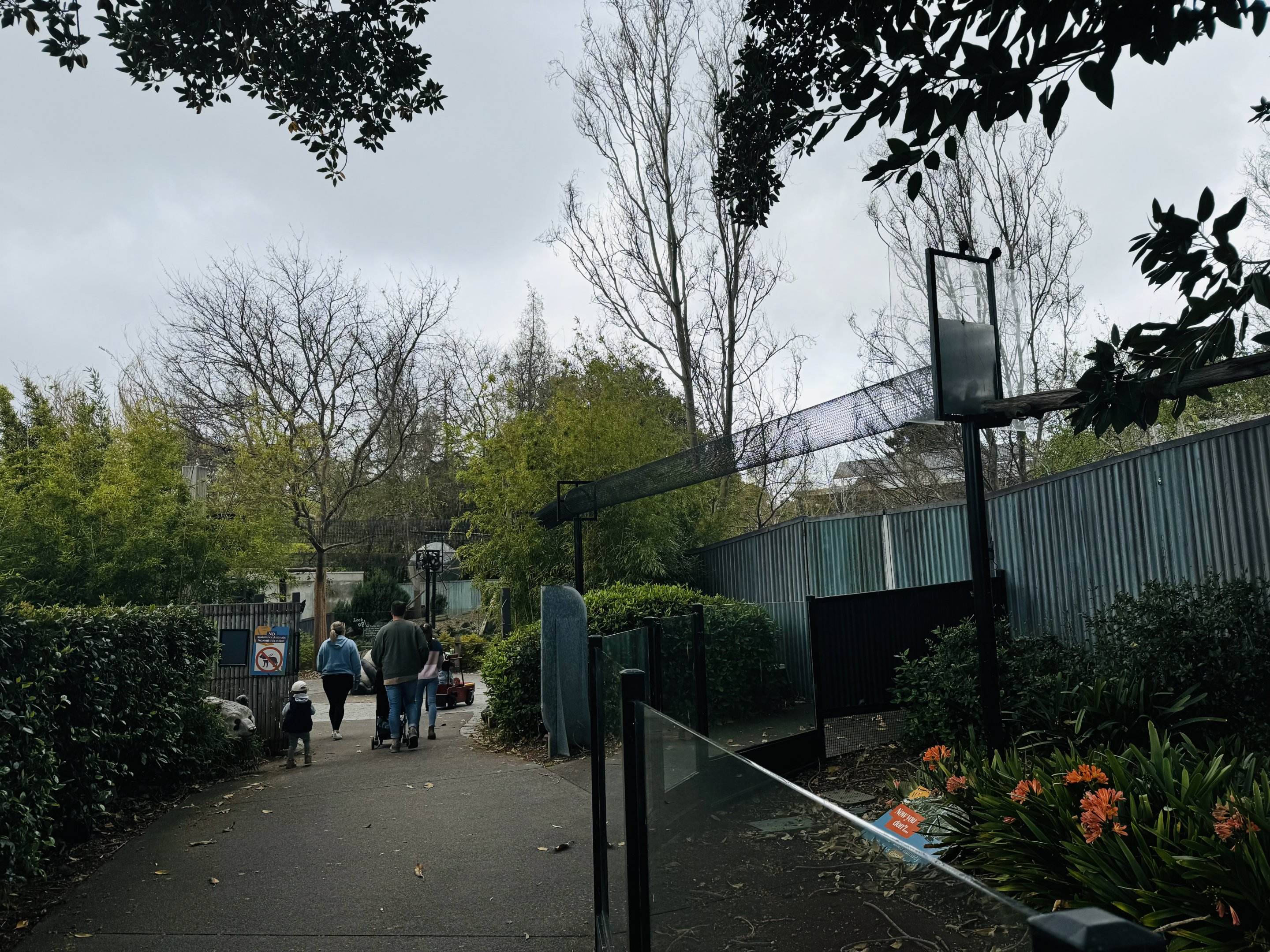 Red panda aerial pathway