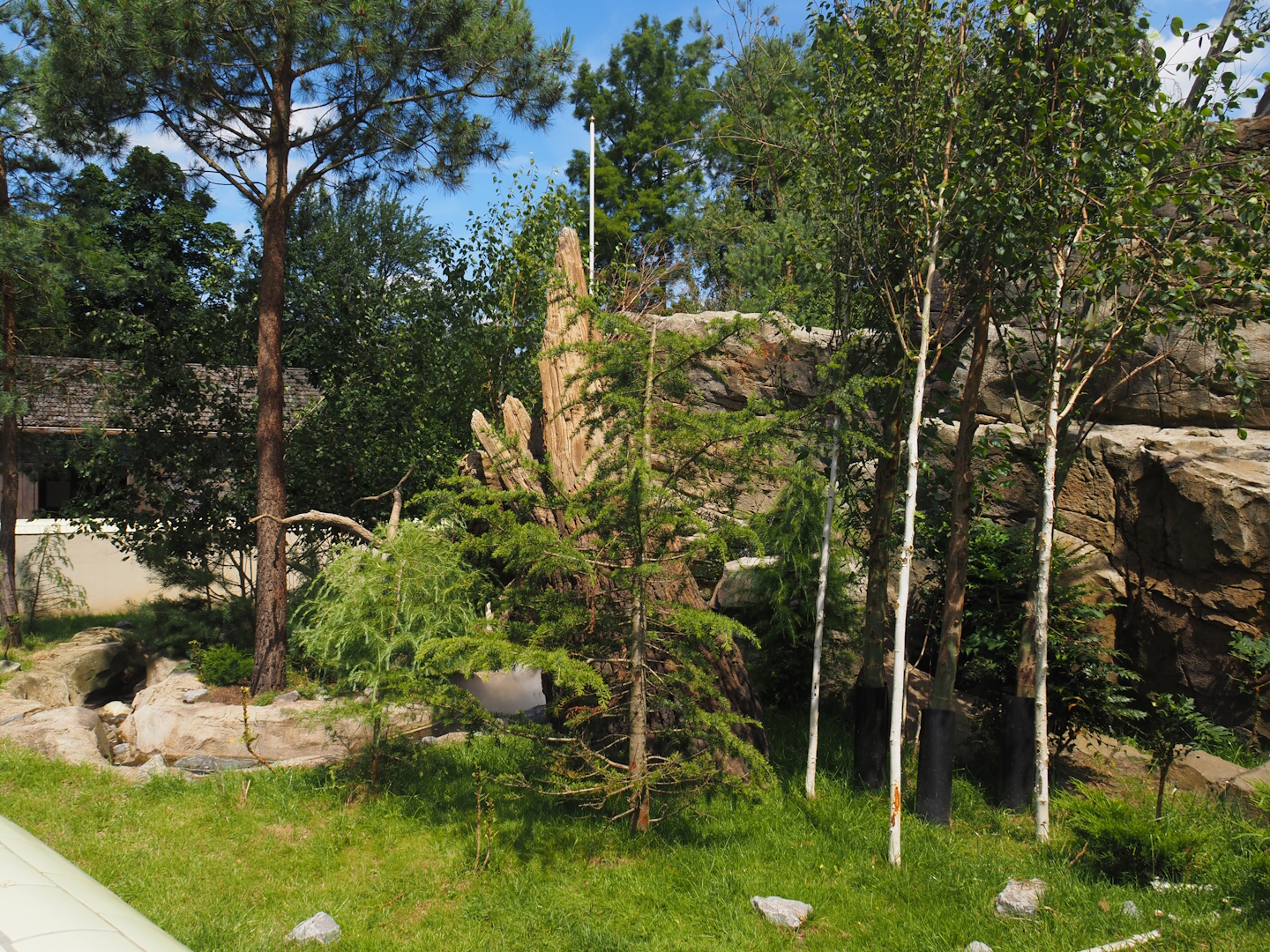 Red panda and Michie's tufted deer exhibit (Renovated historical mountain animal rock), 2024-06-30