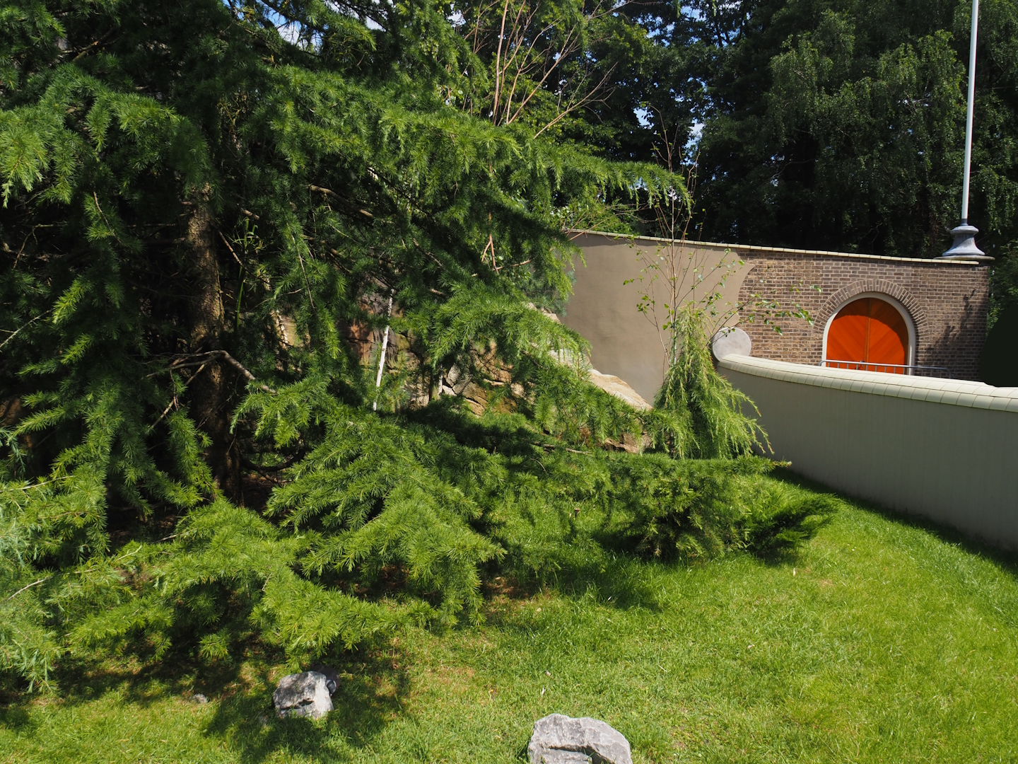 Red panda and Michie's tufted deer exhibit (Renovated historical mountain animal rock), 2024-06-30
