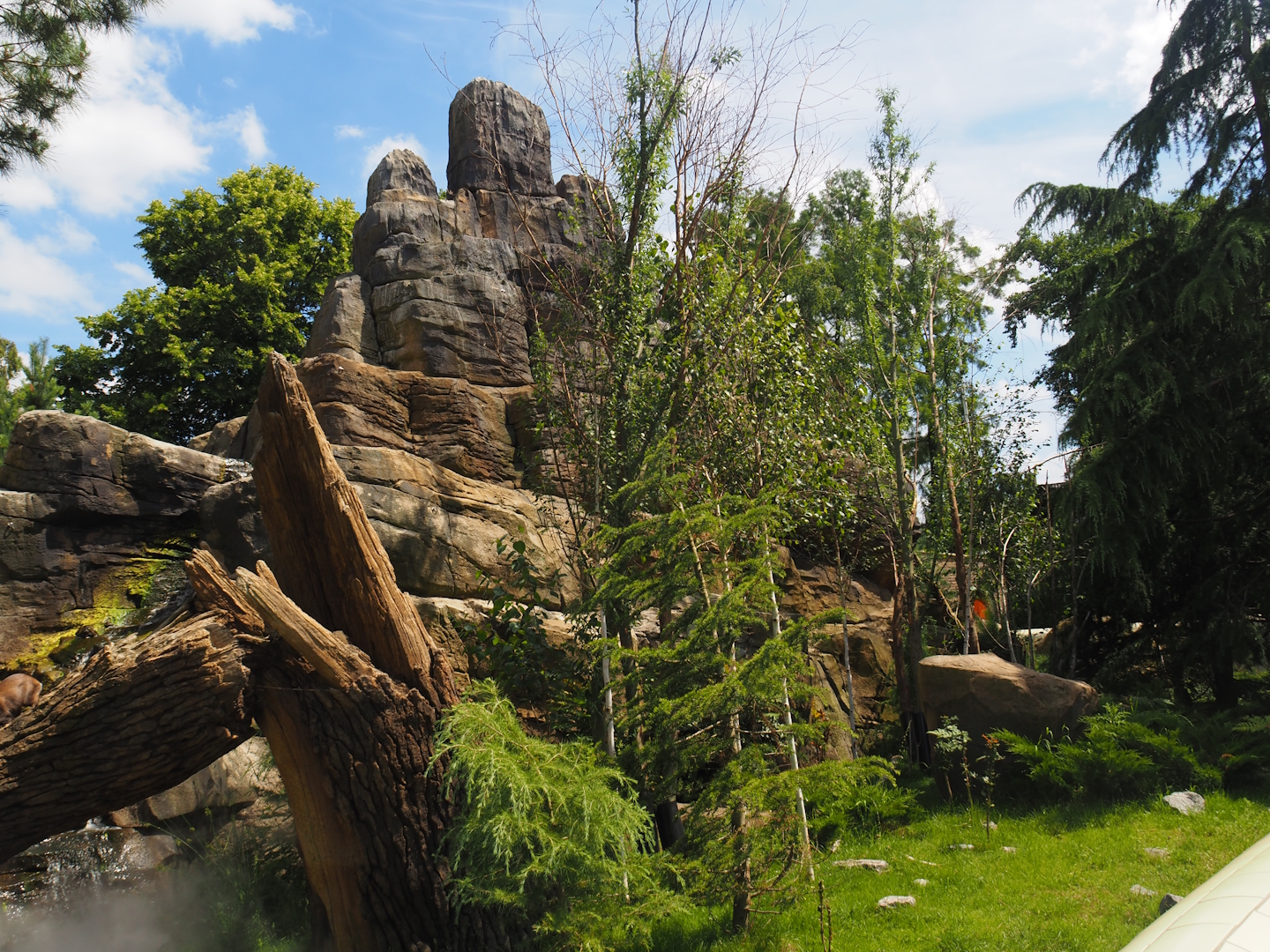 Red panda and Michie's tufted deer exhibit (Renovated historical mountain animal rock), 2024-06-30