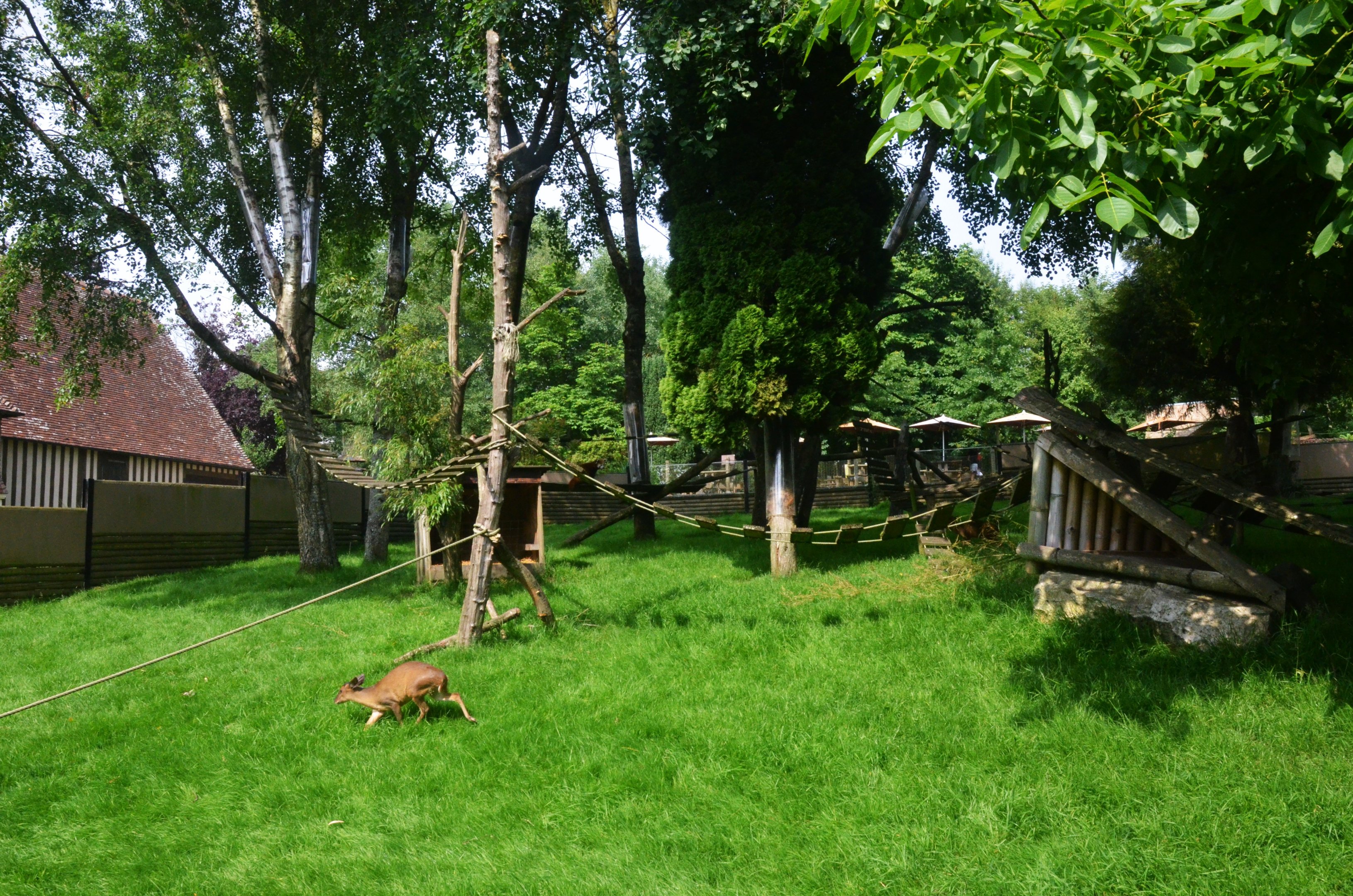 Red Panda and Muntjac Enclosure at CERZA, 10/06/18