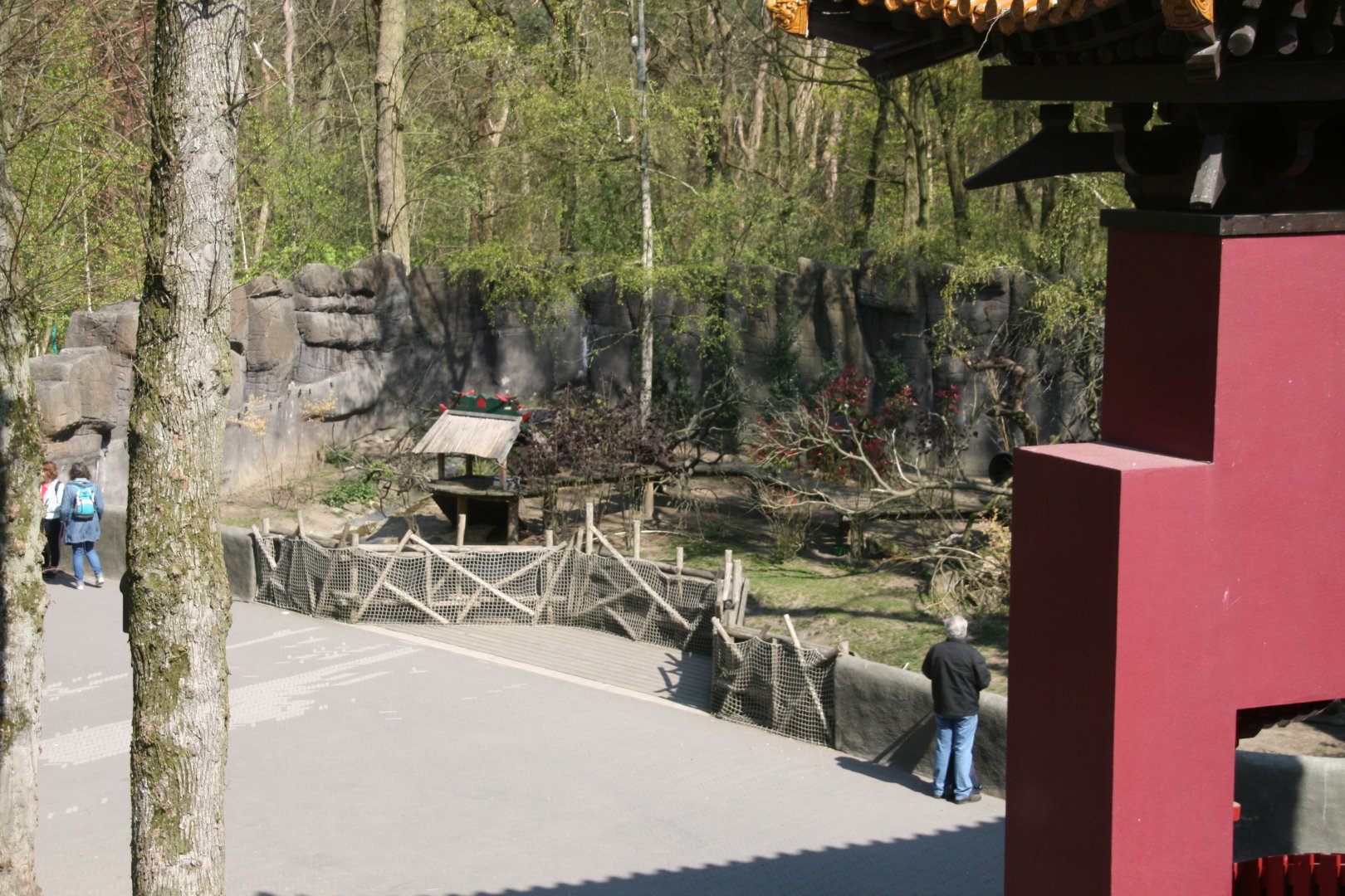 Red panda and muntjac enclosure