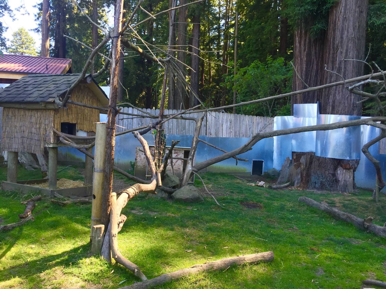Red Panda and Muntjac Exhibit
