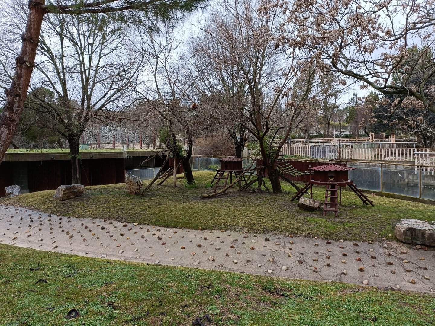 Red panda and muntjac exhibit