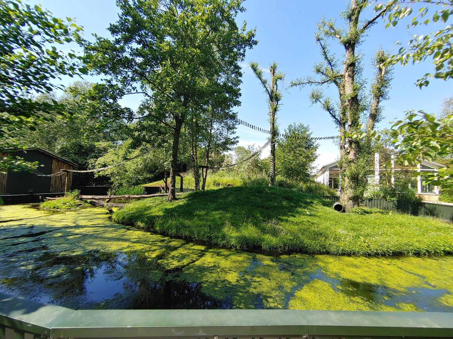 Red panda and otter enclosure - viewing point near the raccoon enclosure