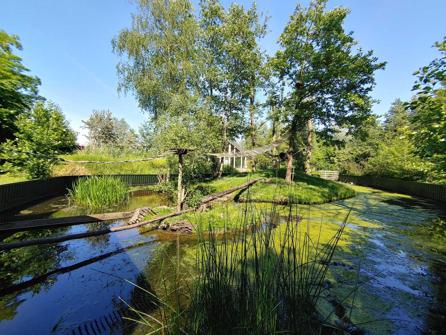 Red panda and otter enclosure - viewing point near the tapir enclosure