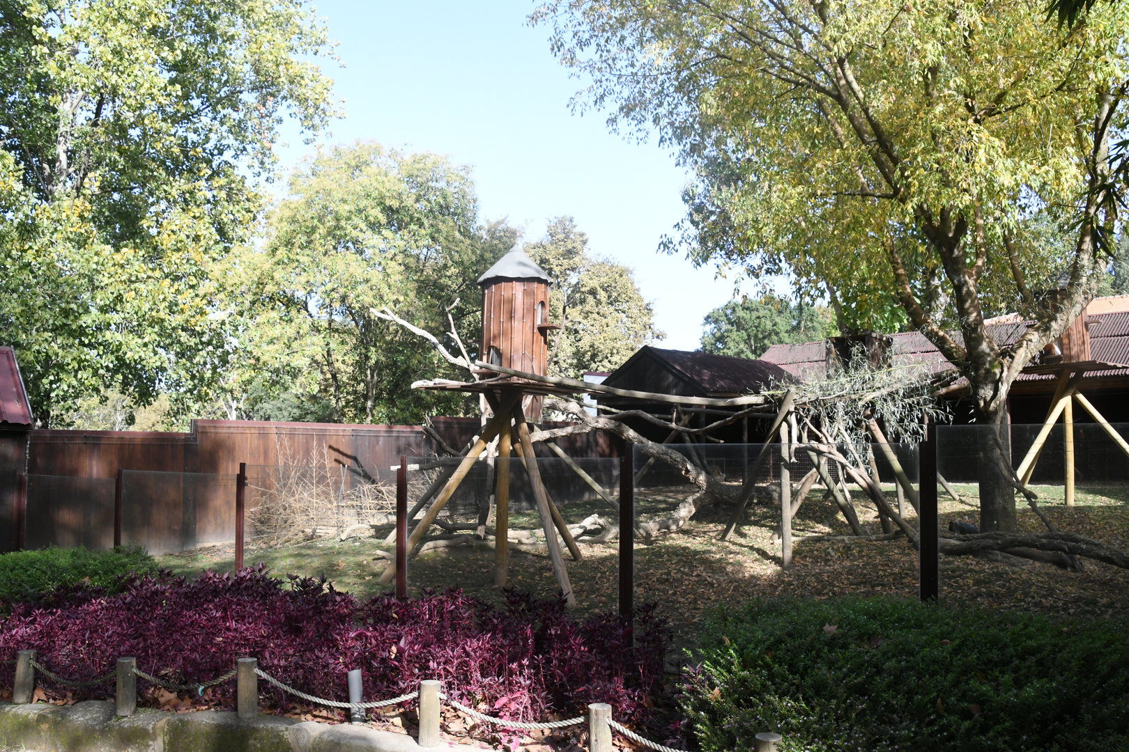 Red Panda and Reeves' Muntjac exhibit