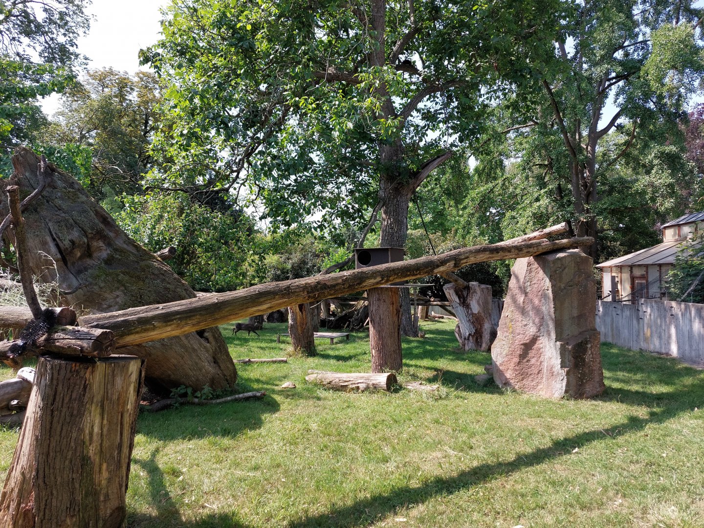 Red panda and tufted deer enclosure
