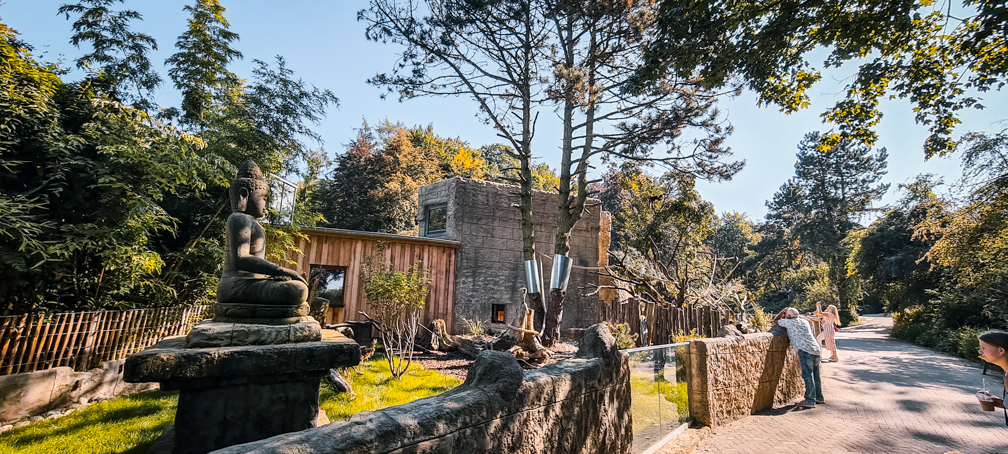 Red panda and tufted deer