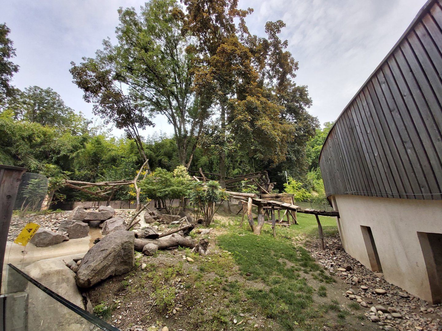 Red panda, Asian small-clawed otter and Reeves' muntjac enclosure