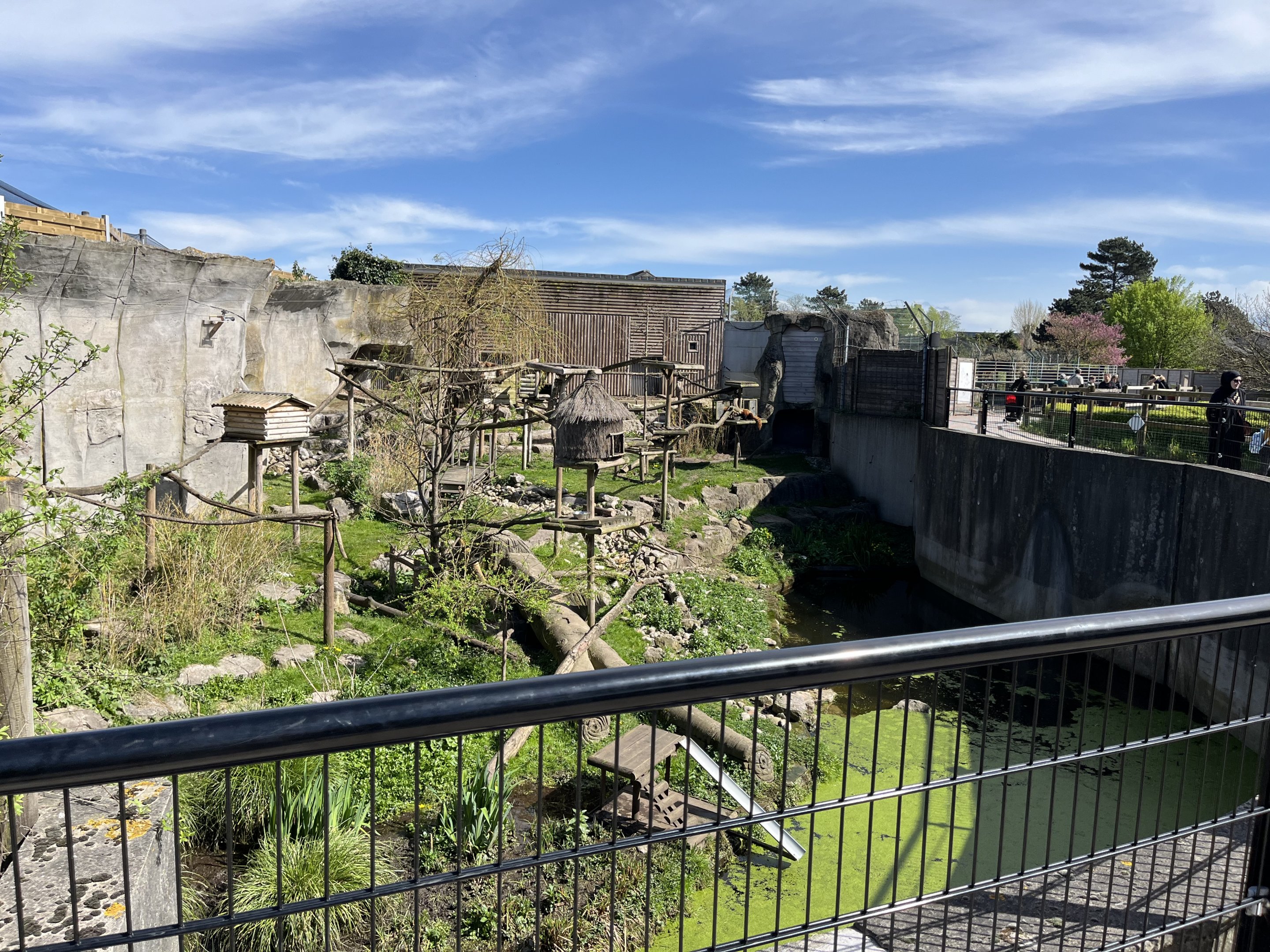 Red panda / Asian small clawed otter enclosure - Bio-Topia Fort-Mardyck