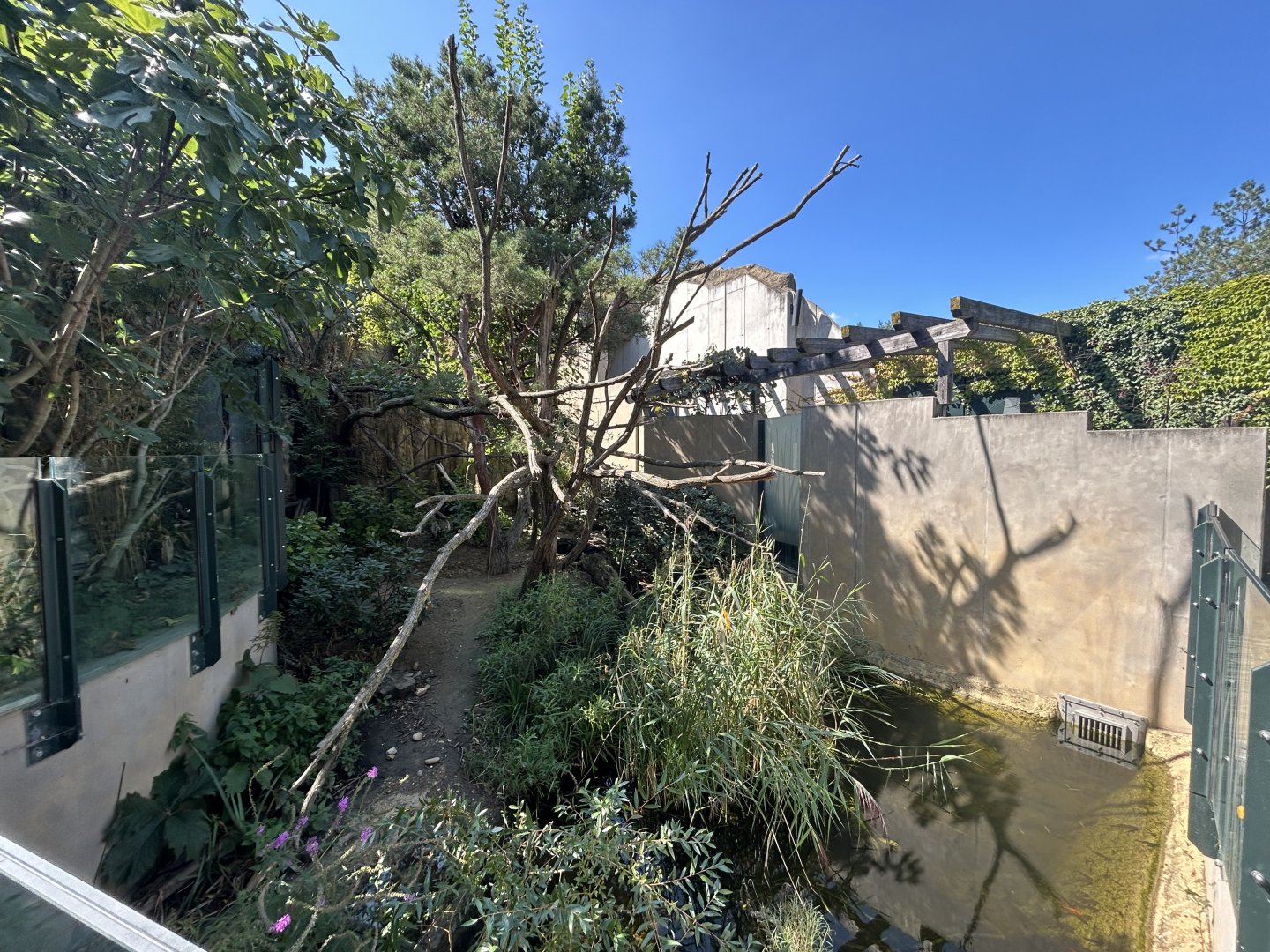 Red Panda & Asian Small-clawed Otter Exhibit