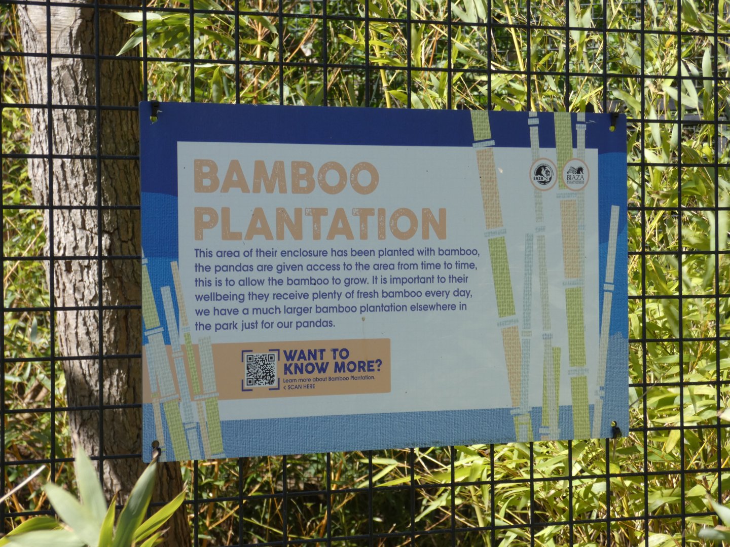 Red panda bamboo plantation signage