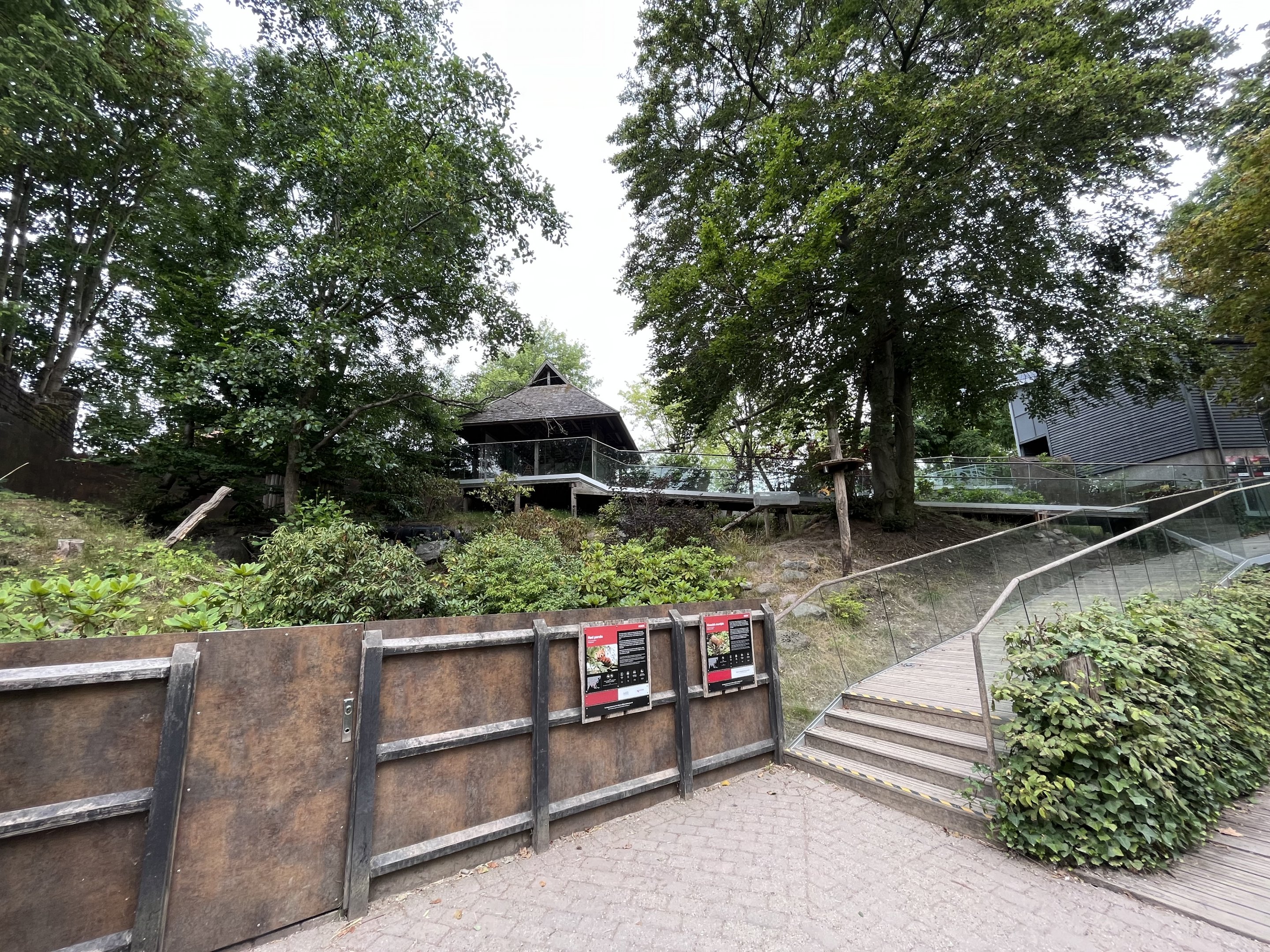 Red Panda/Chinese Muntjac Exhibit
