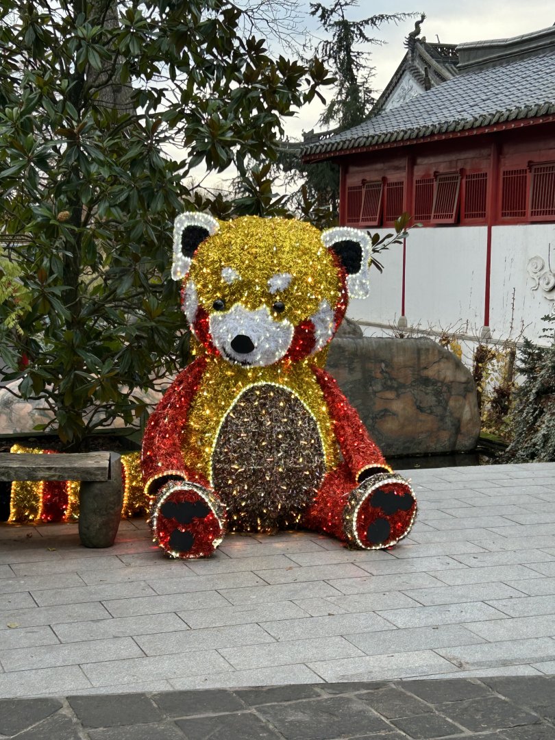 Red panda Christmas animal