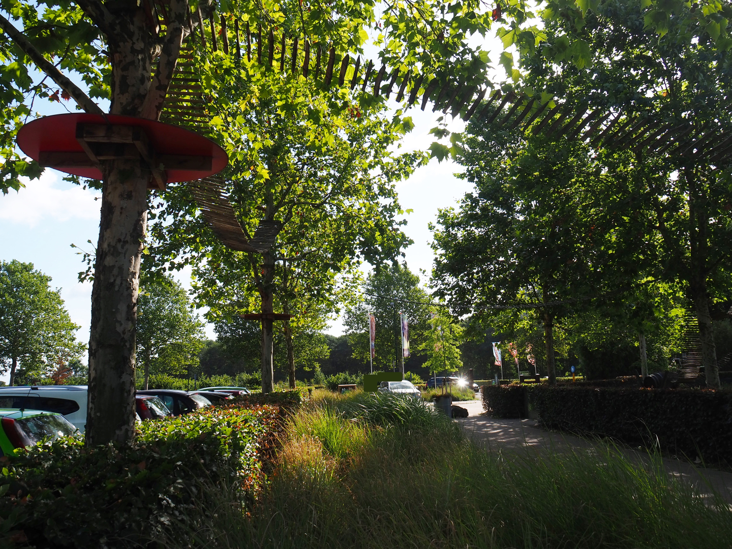 Red panda climbing structures in the trees near the parking lot, 2019-06-01