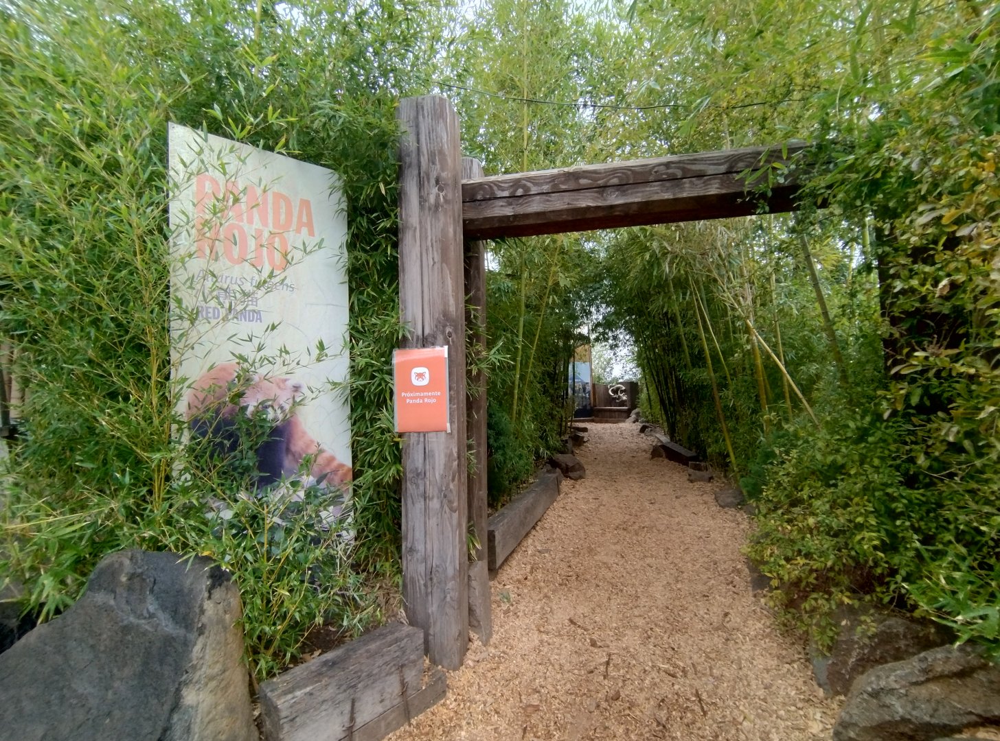 Red panda complex (empty) - Santiago zoo (Zoologico nacional)