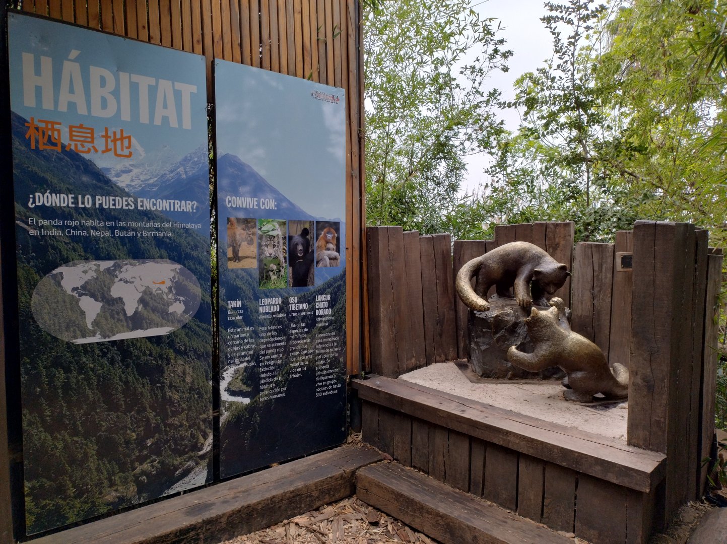 Red panda complex (empty) - Santiago zoo (Zoologico nacional)