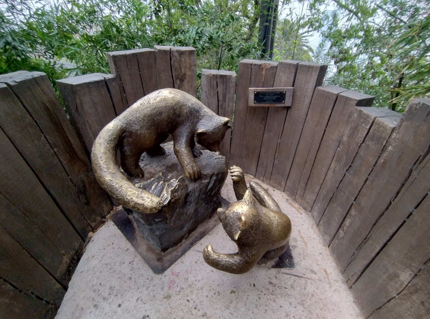 Red panda complex (empty) - Santiago zoo (Zoologico nacional)