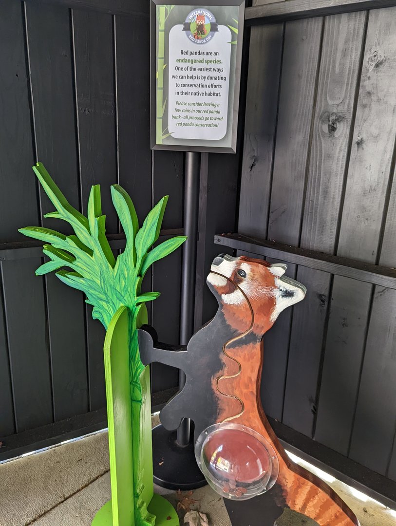 Red Panda conservation donation display