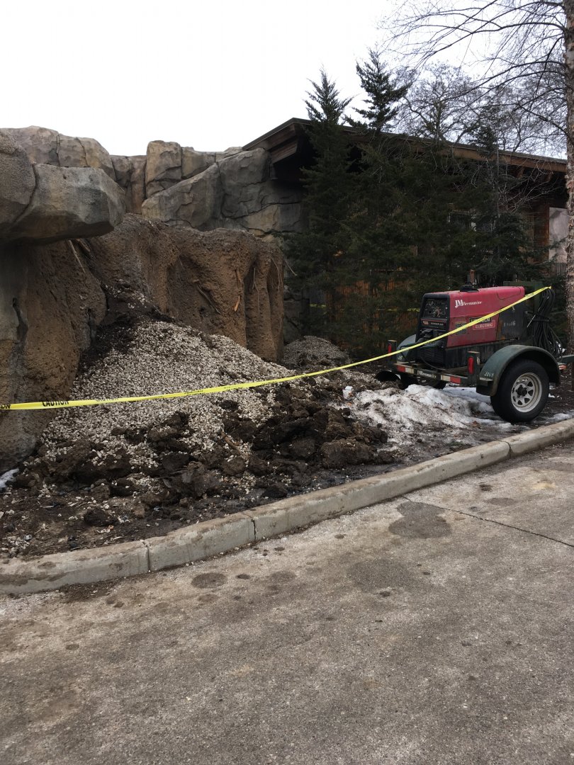 Red panda construction