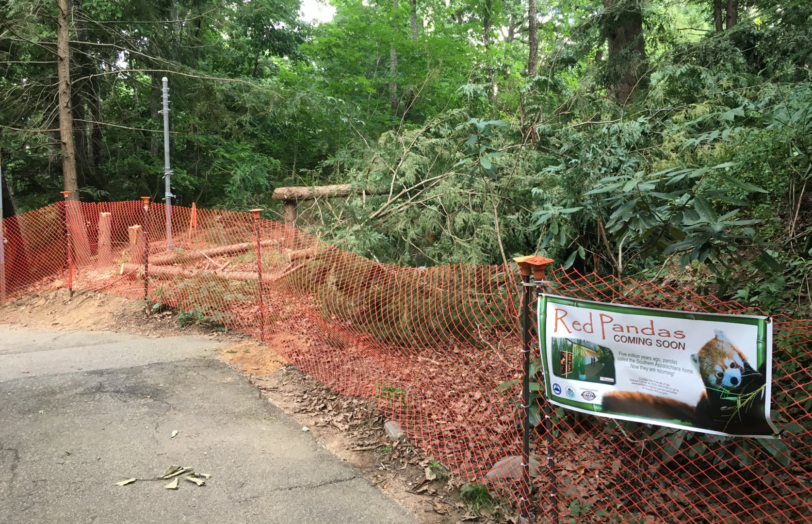 Red Panda Construction