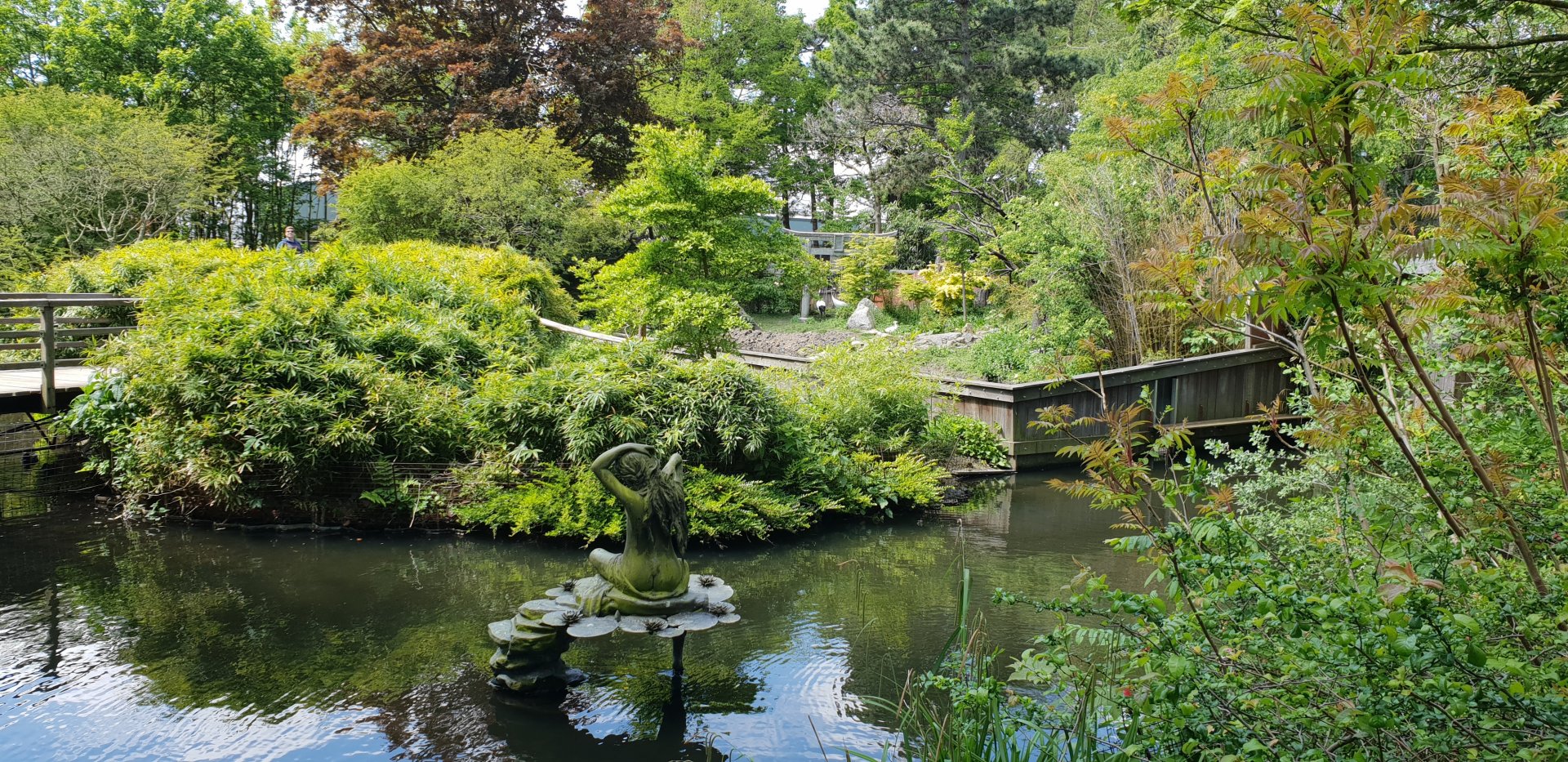 Red panda - Crane - Waterfowl enclosure
