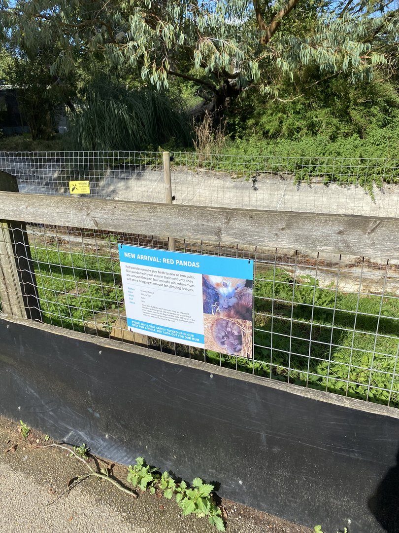 Red panda cub signage, ZSL Whipsnade, UK