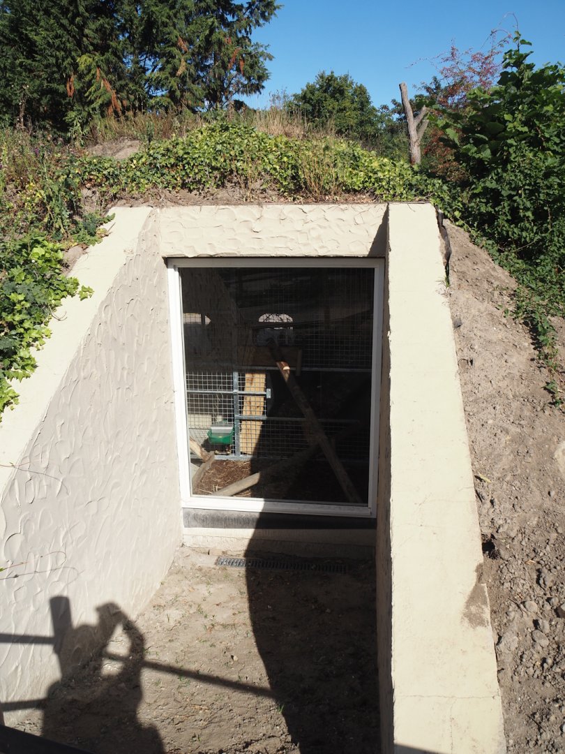 Red panda den, 2025-08-24