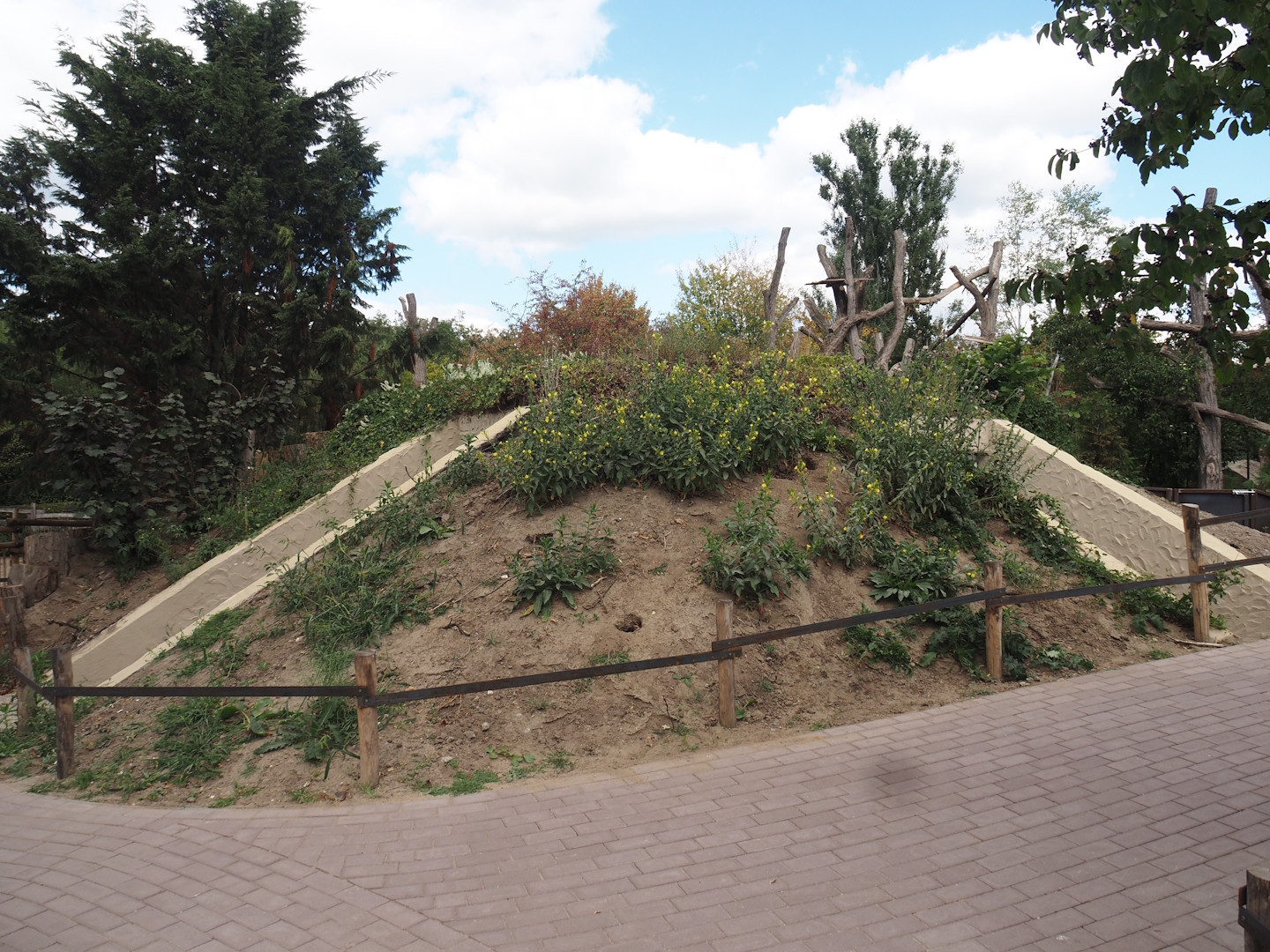 Red panda den structure, 2025-08-24