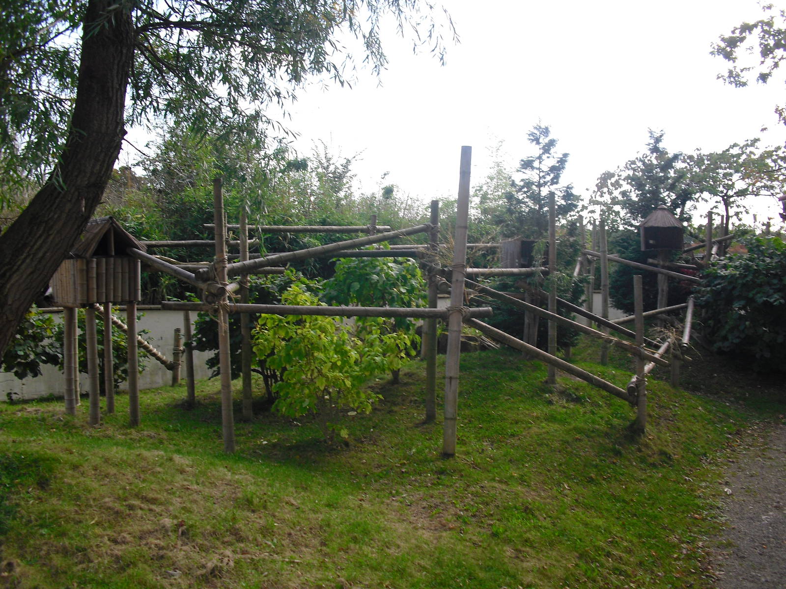 Red Panda Enclosure - 01/10/2011