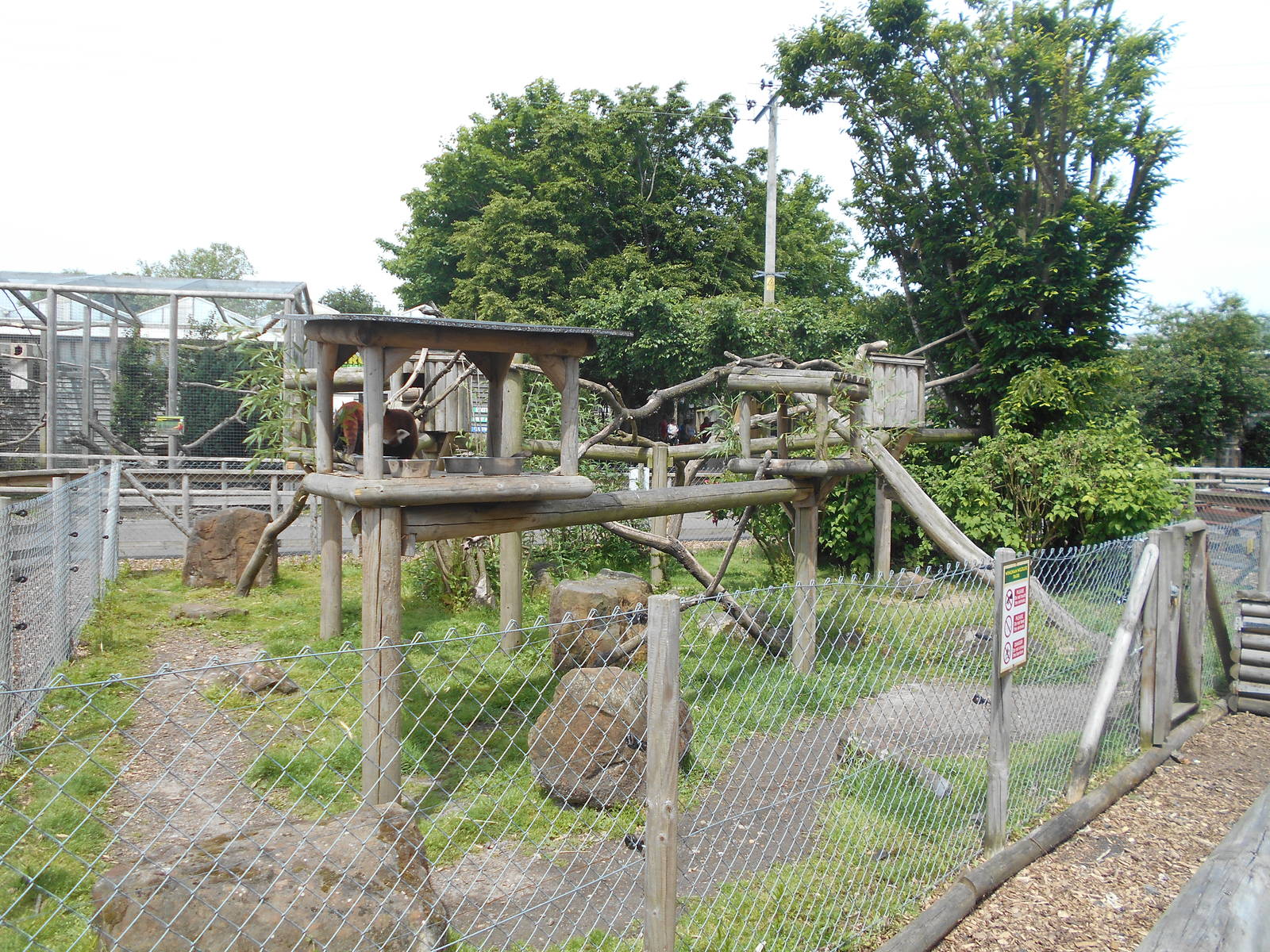Red Panda enclosure - 10/06/2016