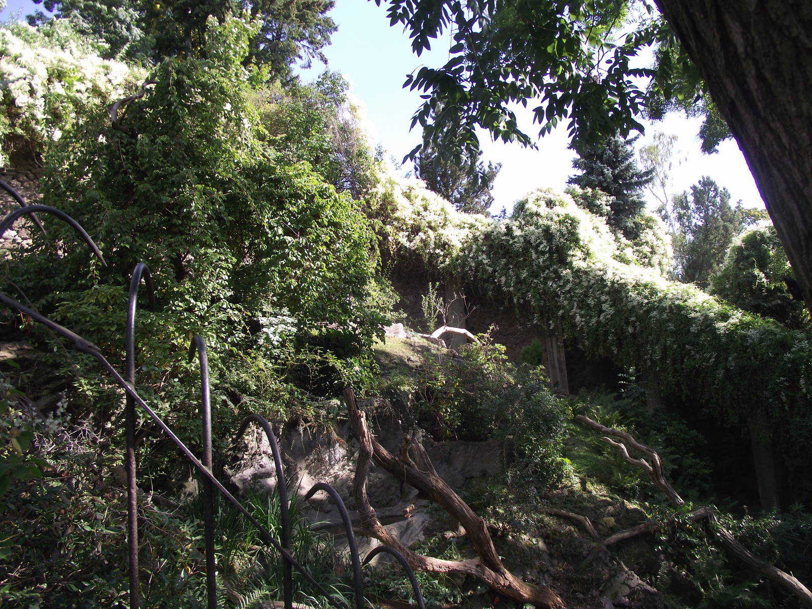 red panda enclosure 140911