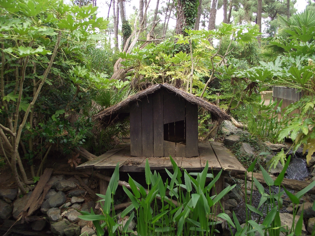 Red Panda Enclosure #2