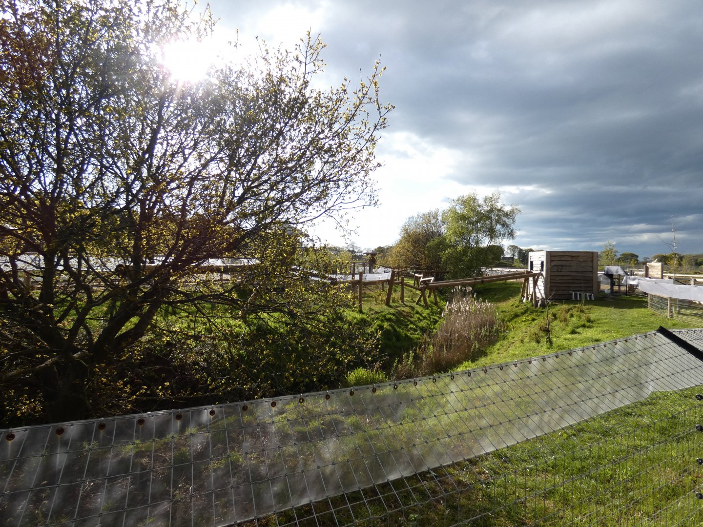 Red panda enclosure (2)