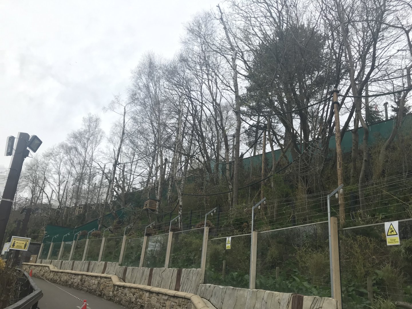 Red panda enclosure (2)