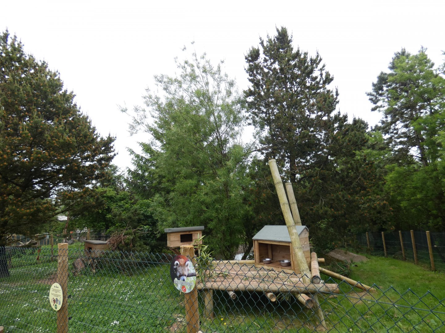 Red panda enclosure (2)