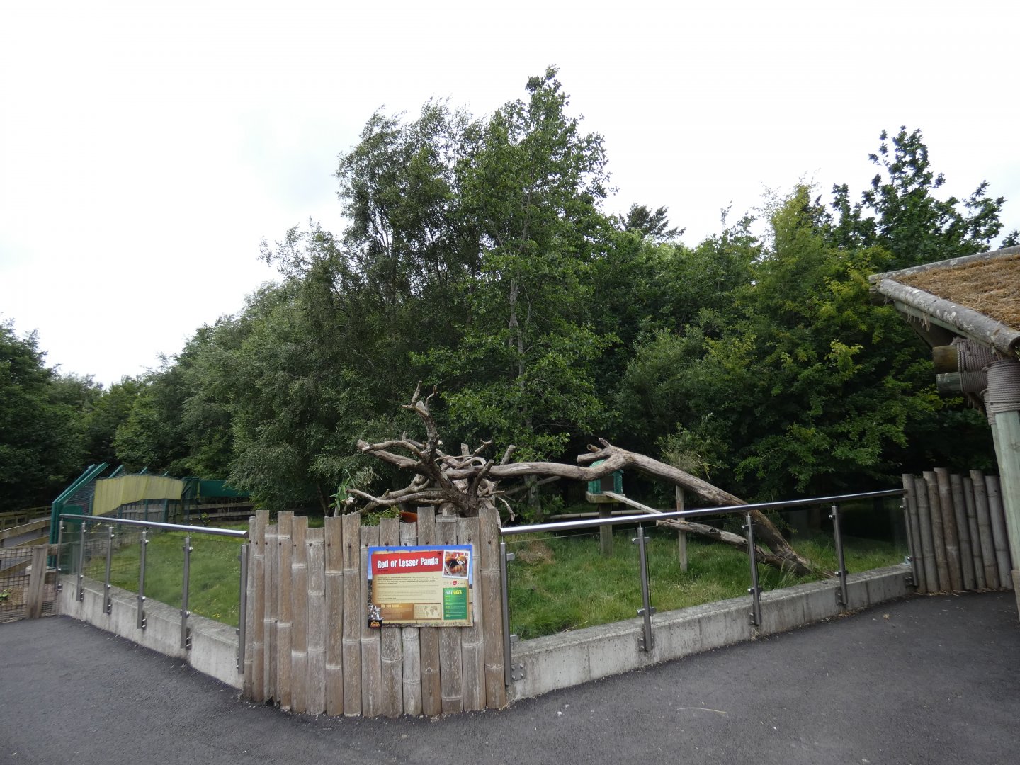 Red panda enclosure (2)