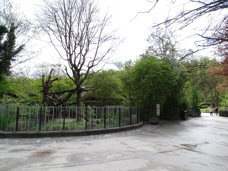 Red panda enclosure #2