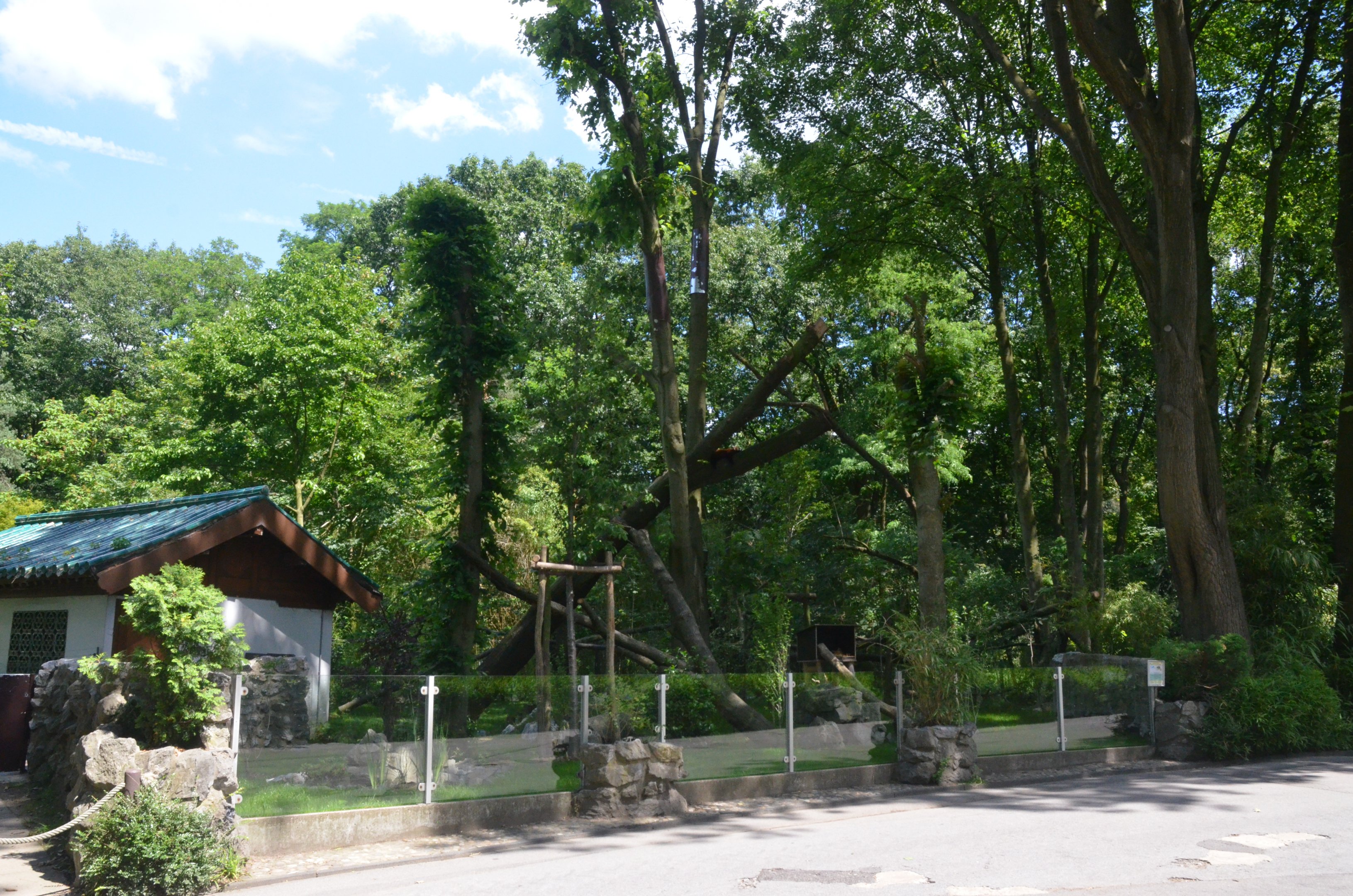 Red Panda Enclosure at Duisburg, 17/06/19