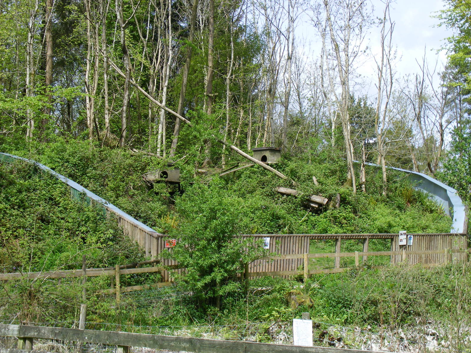 Red panda enclosure at Galloway Wildlife Conservation Park, 16 May 2010