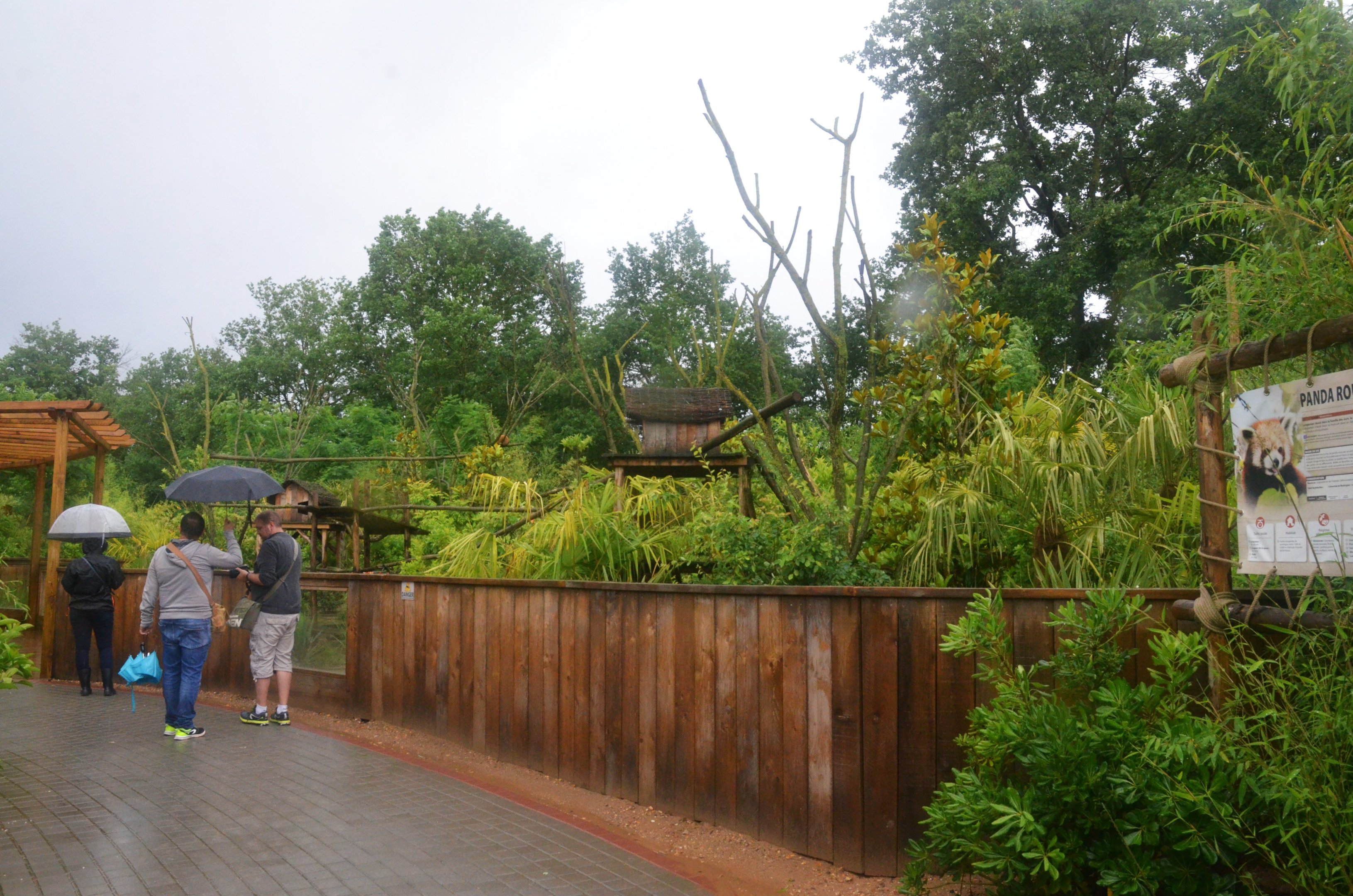 Red Panda Enclosure at La Flèche, 11/06/18