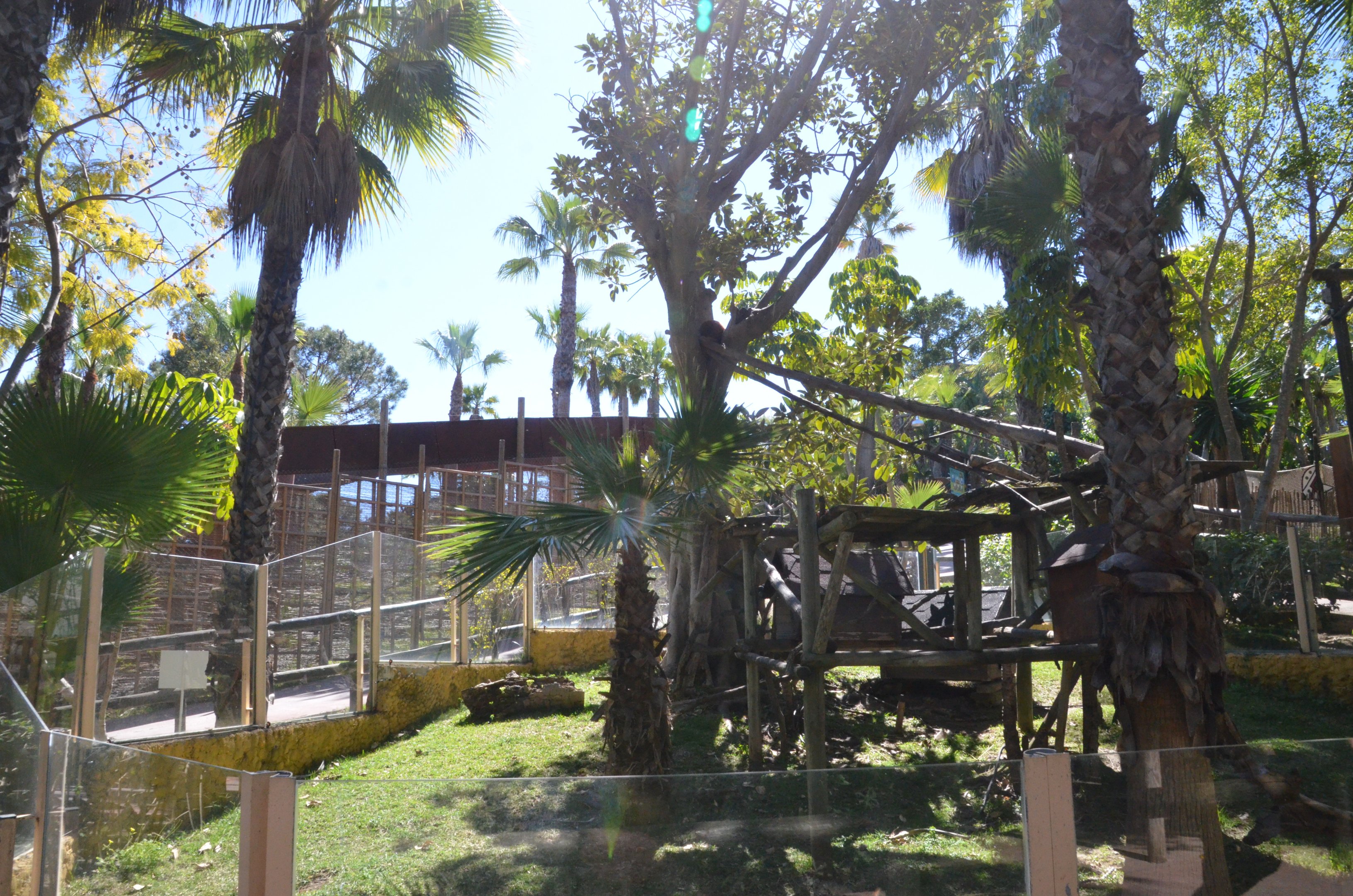 Red Panda Enclosure at Selwo Aventura, 13/03/19