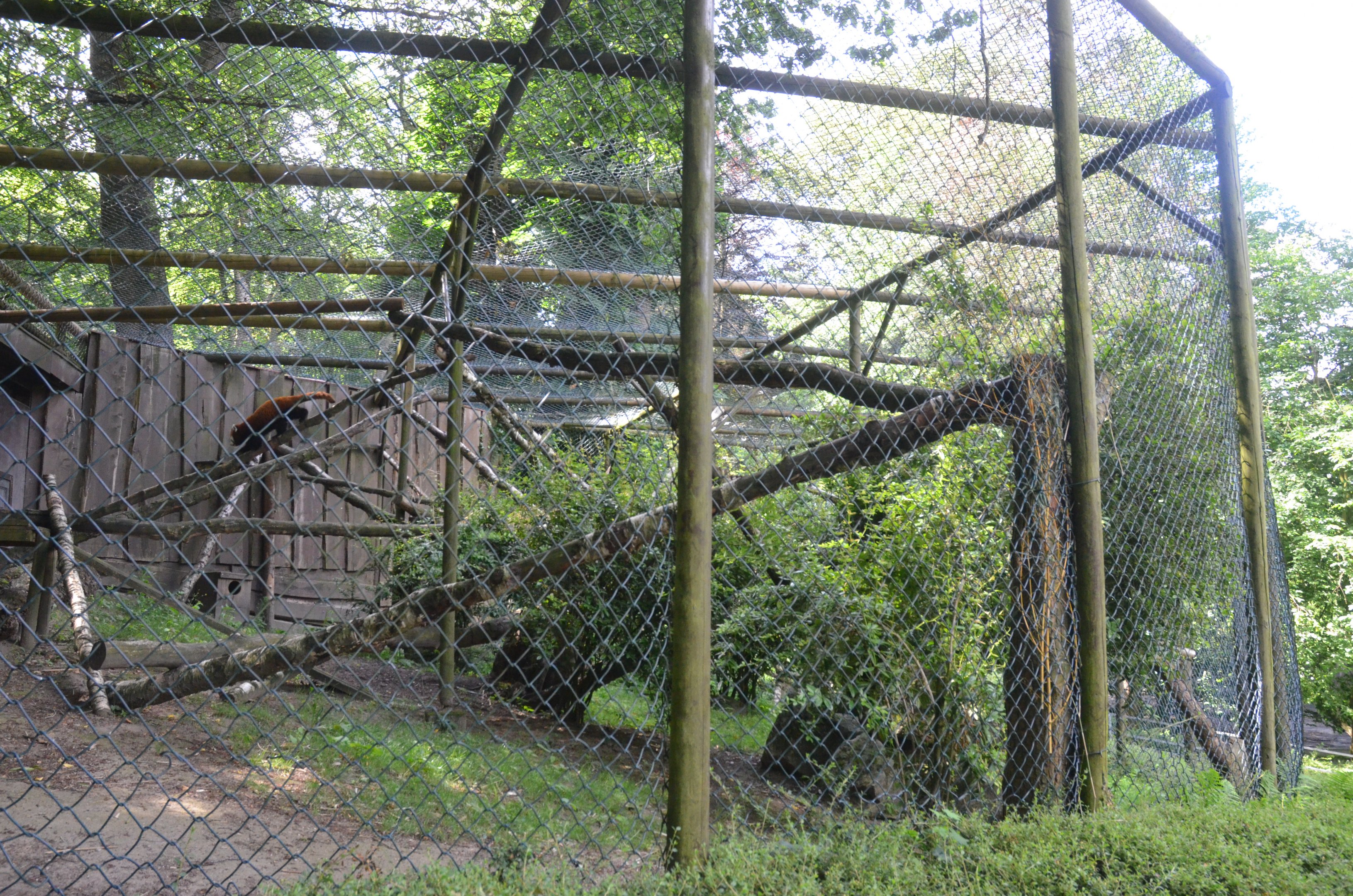 Red Panda Enclosure at Wuppertal, 16/06/19