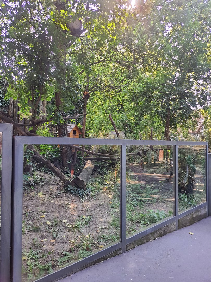 Red Panda enclosure- Budapest zoo