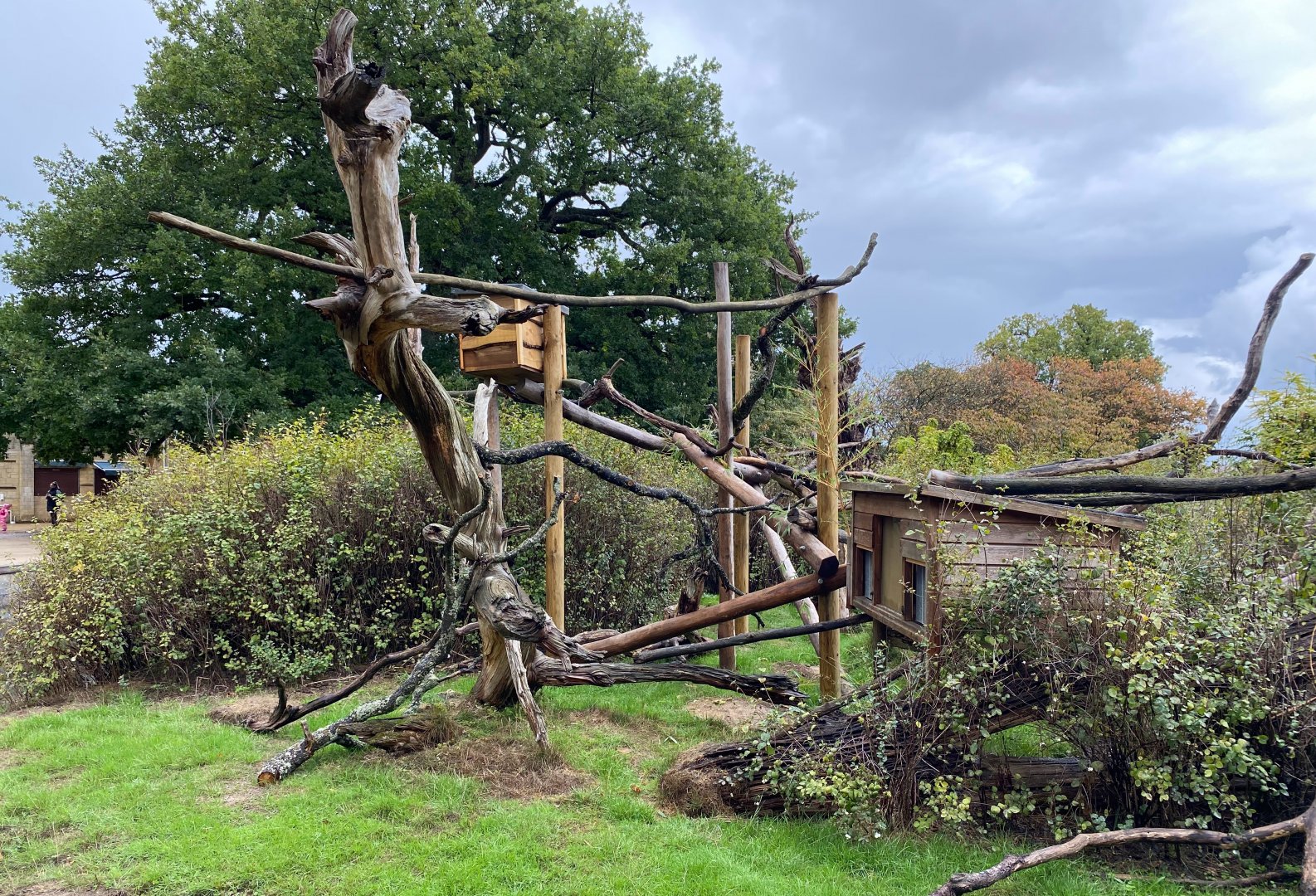 Red Panda enclosure, CWP