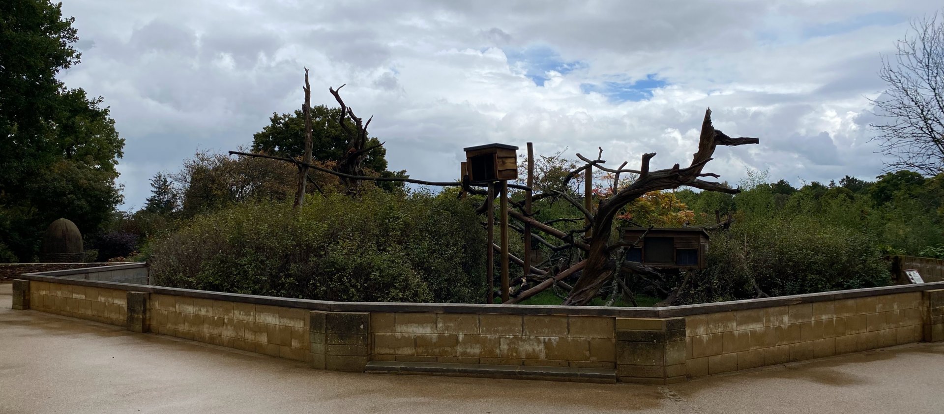 Red Panda enclosure, CWP